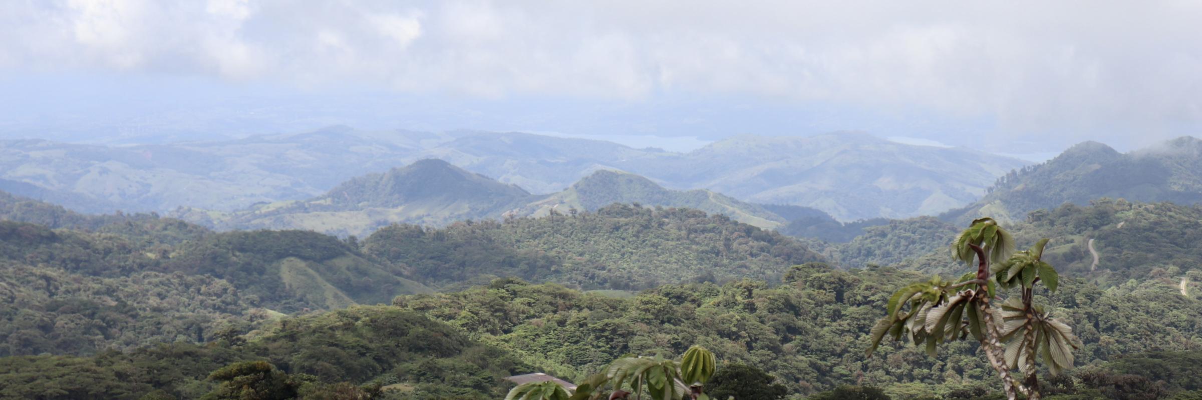 Cloud forest, Monteverde, Costa Rica